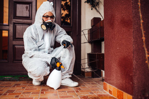Reliable Cockroach Control contractor in Kearny, NJ by Nex Pest Control